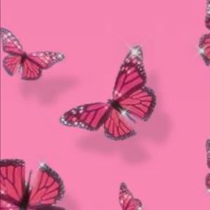 Meet your Posher, Lizzy